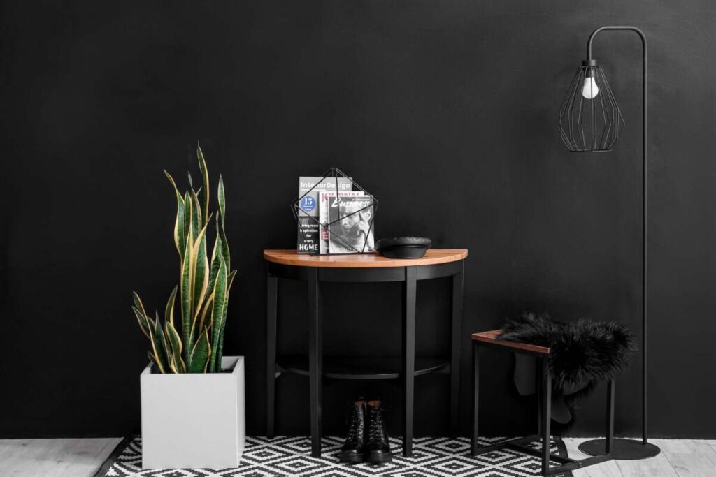entranceway with black wall and black table and floor lamp